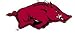 Arkansas Razorbacks Suncatcher