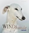Windhunde: Schnell, Sanft, Liebenswert