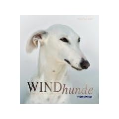 Windhunde: Schnell, Sanft, Liebenswert