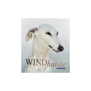 Windhunde. Schnell, Sanft, Liebenswert