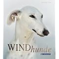 Windhunde: Schnell, Sanft, Liebenswert