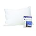 Pristine 100 Allergen Proof European Square Pillow Cover 25x 25