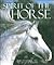 Spirit of the Horse