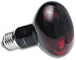 Zoo Med Red Nocturnal Infrared Heat Lamp 100 Watt Bulb for Reptiles