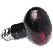 Buy Zoo Med Red Nocturnal Infrared Heat Lamp 100 Watt Bulb for Reptiles by ZooMed