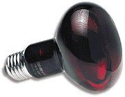 Zoo Med Nocturnal Infrared Incandescent Heat 
