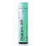 B&T Thuja Occidentalis 30C (100 tab)