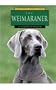 The Weimaraner (Learning about Dogs)