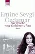 Die Br�cke vom Goldenen Horn