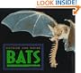 Outside And Inside Bats