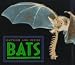 Outside And Inside Bats