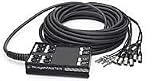 Proco Stagemaster 8 X 4 Snake (SMC804FBQ100, 100 Foot)