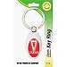 SLV Pontiac Key Chain