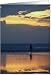 Blue & Gold Sunset on Ft Myers Beach, Blank card Card