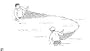 Nylon Minnow Seine