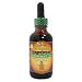 Old Fashioned Gingerbread HerbaGreen Tea - 2 oz., (HerbaSway)