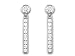14kt White Gold With Cubic Zirconia Dangle Earrings