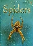 Spiders, Level 1: Internet Referenced (Beginners Nature - New Format)