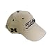 Sporting Goods : Michigan Wolverines Titleist Baseball Hat