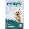 Advantage 6pk Dog Teal 11-20 Lbs