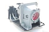 Replacement Lamp Module for NEC NP110 NP115 NP210 NP215 NP216 Projectors (Includes Lamp and Housing)