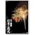 NHK DVD ���̋��� ���{�̉ԉ�~�ԉΌ|�p�̍ō��� ��ȑS���ԉ΋��Z���~