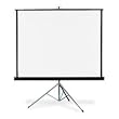 Portable Tripod Projection Screen, 60 x 60, White Matte, Black Steel Case
