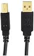 Axis 12-0081 USB 2.0 A Male-To-B Male Cable (10 Feet)