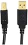 Axis 12-0081 USB 2.0 A Male-To-B Male Cable (10 Feet)