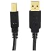 Axis 12-0081 USB 2.0 A Male-To-B Male Cable (10 Feet)