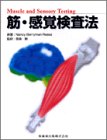 筋・感覚検査法