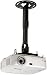 Peerless PARAMOUNT Ceiling/Wall Projector Mount with Adjustable Extension PPA - Mounting kit ( extension column, ceiling plate, mounting adapter, horizontal adjuster ) for projector ( Tilt &amp; Swivel ) - cold-rolled steel - black