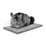 Chinchillas Chin Chiller