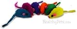 Rainbow Furry Mouse - PER MICE ( 60 per BOX )