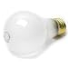 Lifetime Light Bulbs 100 Watt Frosted - Pack of 6