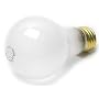 Lifetime Light Bulbs 60 Watt Frosted - Pack of 6