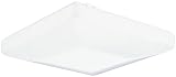 Review Lithonia Lighting FM 54 ACLS LP M4 / Lithonia Lighting FM 54 ACLS LP M4 Two-Light Fluorescent Flush-Mount Ceiling Fixture, White Acrylic Globe