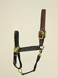 Hamilton Halter Company 5-8 1 Adj Lthr Hdpl Halter Br Black Small - 1DALSS SMBK