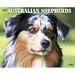 Just Australian Shepherds 2009 Calendar From Willow Creek