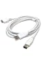 USB and Firewire Y Cable for Ipod and Ipod Mini