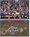 Super Bowl 38 Winning Field Goal Photograph
