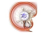 ZEROTHERM GX 820  VGA-Kuehler voll aus Kupfer heatpipe 70 x 15 mm PWM Luefter 1200-3000 U/min GF 6600 7600 8500 8600 ATI X1600 X1800