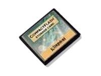 Kingston 24MB Compactflash Card for Digital Cameras/PDAs