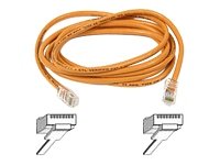 Belkin 25ft 10/100BT CAT5E Patch RJ45M/RJ45M Orange On Sale