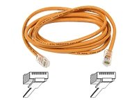 Belkin 7ft 10 100BT RJ45M RJ45M CAT5E Patch Cable  OrangeB00004Z5D1