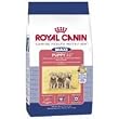 Royal Canin Maxi 32 Large Breed Puppy Food (6-lb bag)