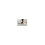 Ceiling Fan Fanimation Americana FP410-FP1018 and Fan Accessories