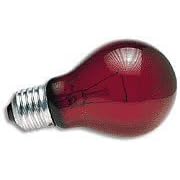 Zoo Med Nightlight Red Reptile Bulb 60 Watt by ZooMed