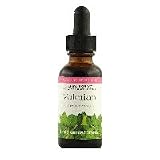 Valerian (Valeriana Sitchensis) Extract - 1 oz - Liquid