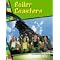 Roller Coasters:the ideal books.